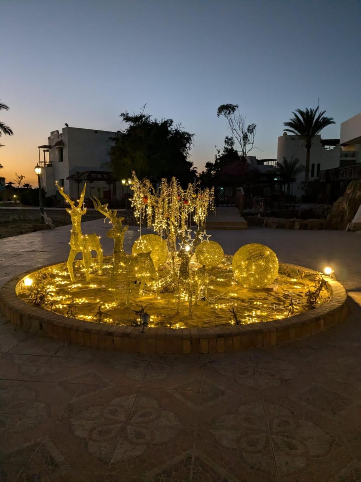 Royal Beach Resort Ras Sedr Exterior photo